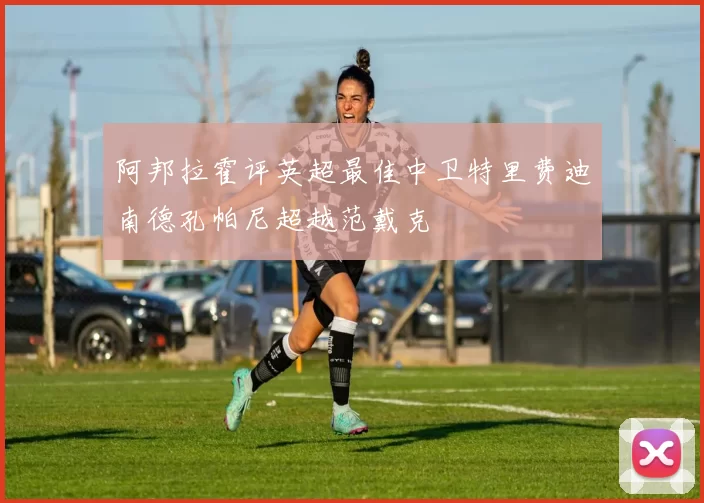 阿邦拉霍评英超最佳中卫特里费迪南德孔帕尼超越范戴克